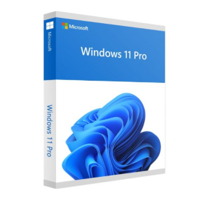 Windows 11 Pro 1 dispositivo